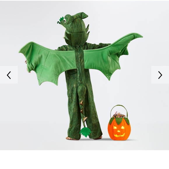 Pottery Barn One Pieces Pottery Barn Kids Dragon Halloween Costume